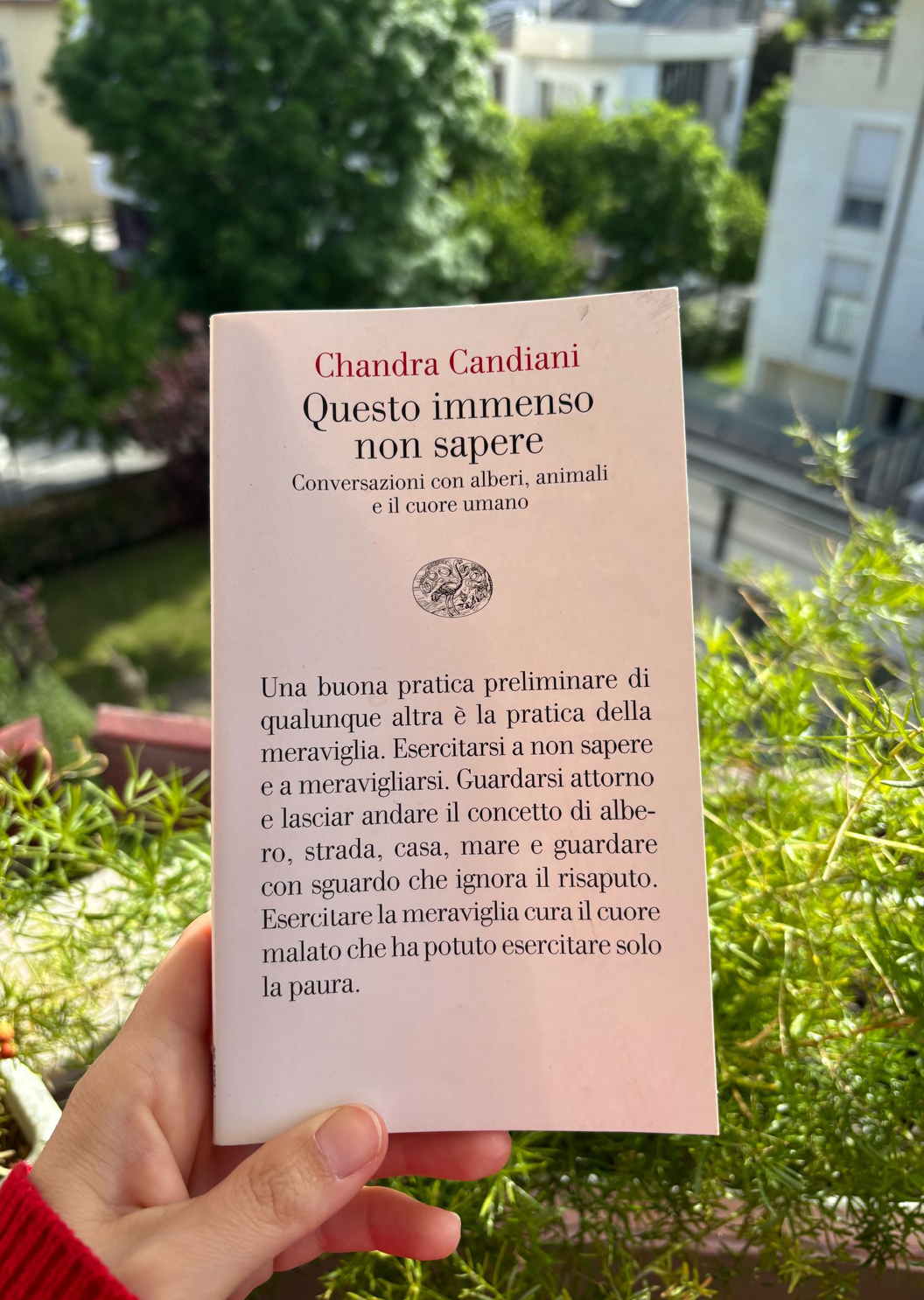 Immagine di Questo immenso non sapere